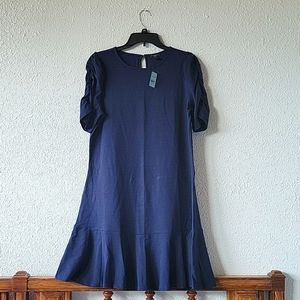 Ann Taylor Ruffle Knit dress